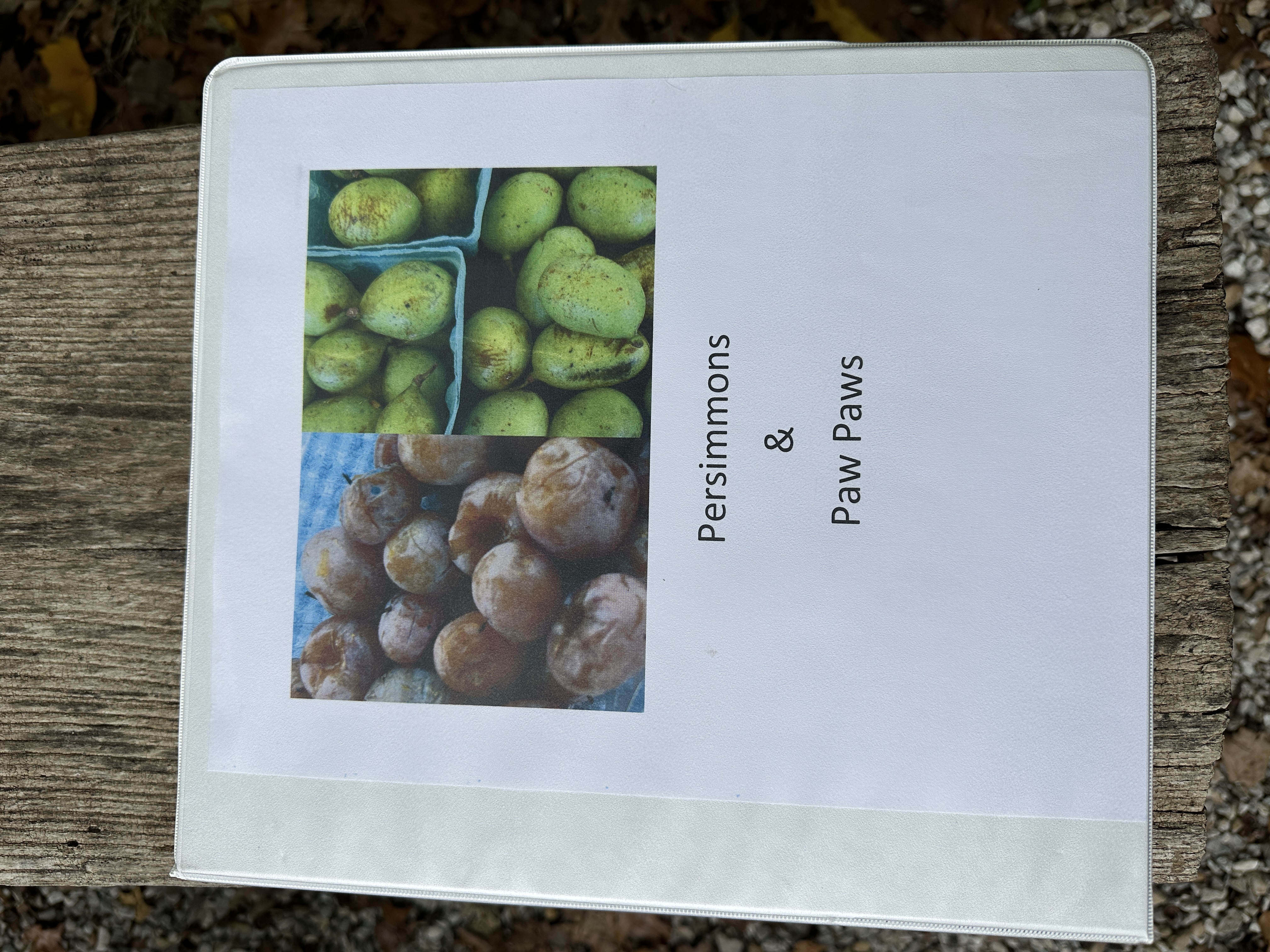 Persimmons & Pawpaws binder