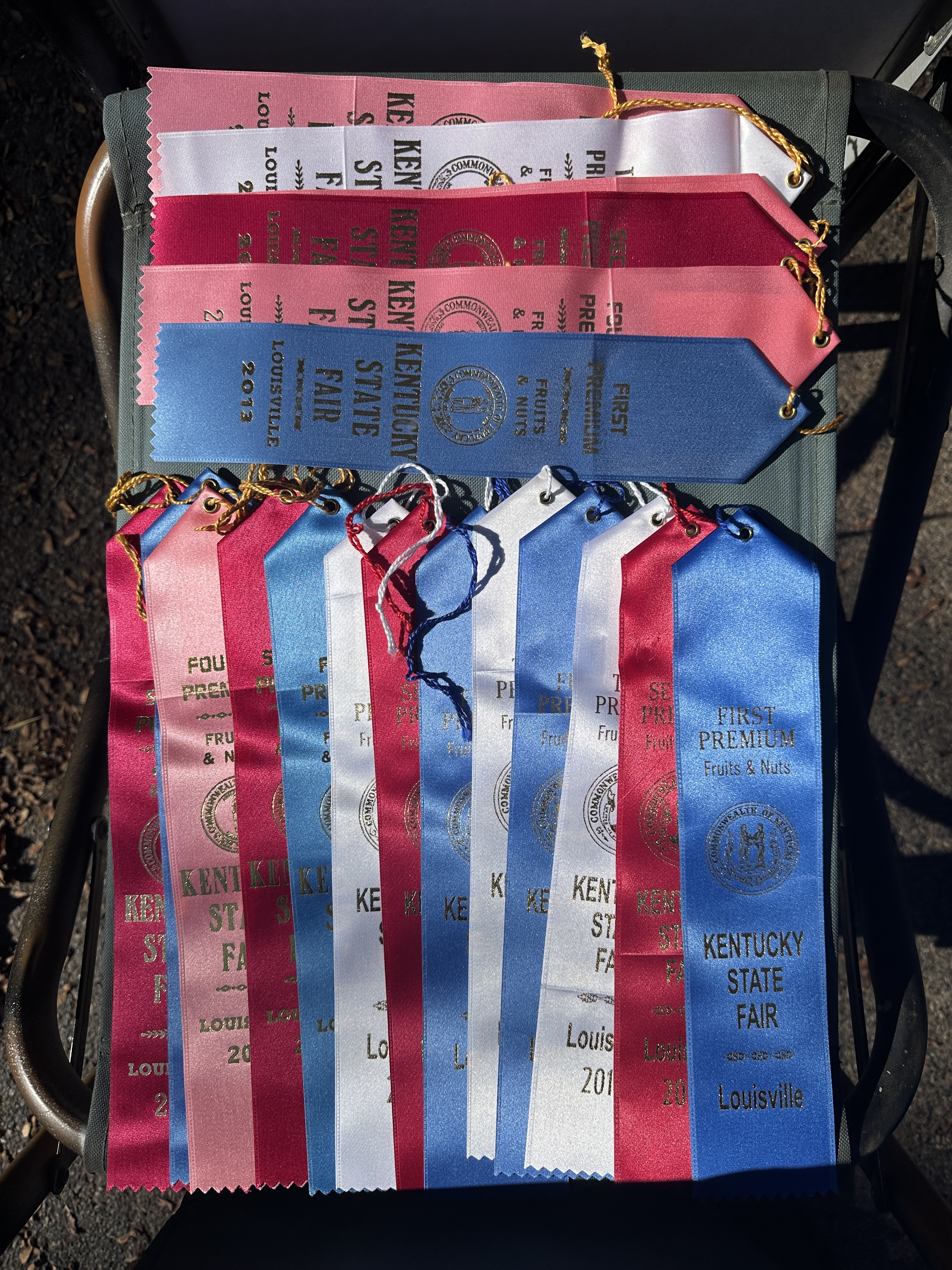 Kentucky State Fair Ribbons